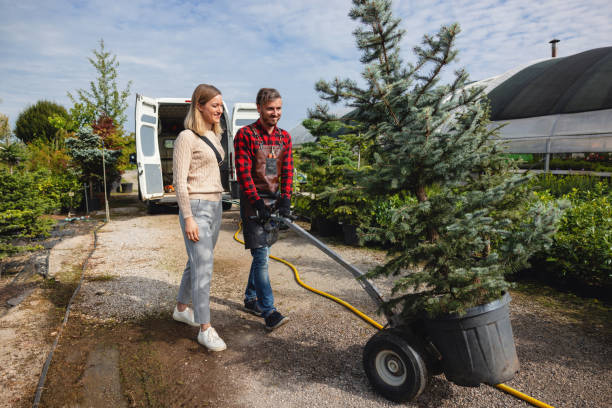 Best Aeration Services  in Weslaco, TX